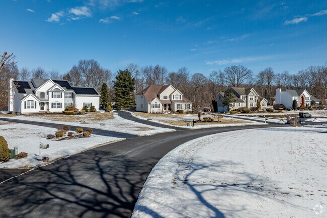 A row of colonial homes in Oak Ridge showcases classic architecture and timeless neighborhood charm.
