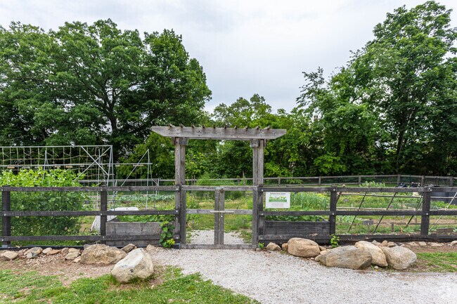 Brackett Elementary School garden in Arlington.
