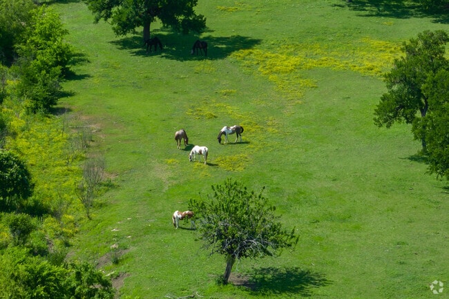 Sachse is close to the country with horse ranches nearby.