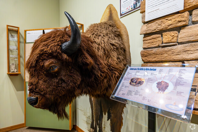 There are many examples of the wildlife found in Aberdeen over the years at Dacotah Prairie Museum.