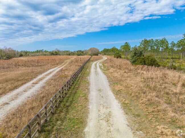 Wedgefield is just east of Hal Scott Regional Preserve in Orlando.