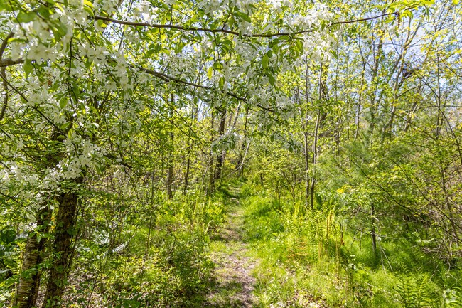 Juniper Hill in Five Fields is the perfect place to enjoy your daily walks.