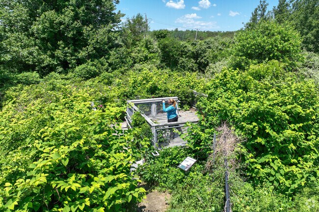 Search for birds on the observation Deck at Goosefare Brook in Kinney Shores.