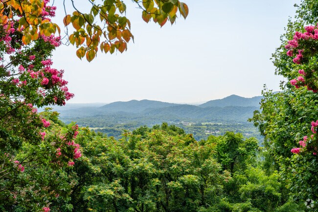 Riverland-Walnut Hill residents are fortunate to have scenic views from the Mill Mountain Park.