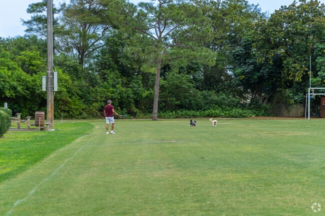 Unleash some fun with playtime for the dogs in the scenic surroundings of Kings Point.