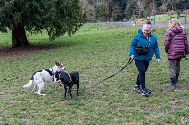 Enjoy a walk with your pups at Chimney Park, a local favorite in the St. Johns neighborhood.