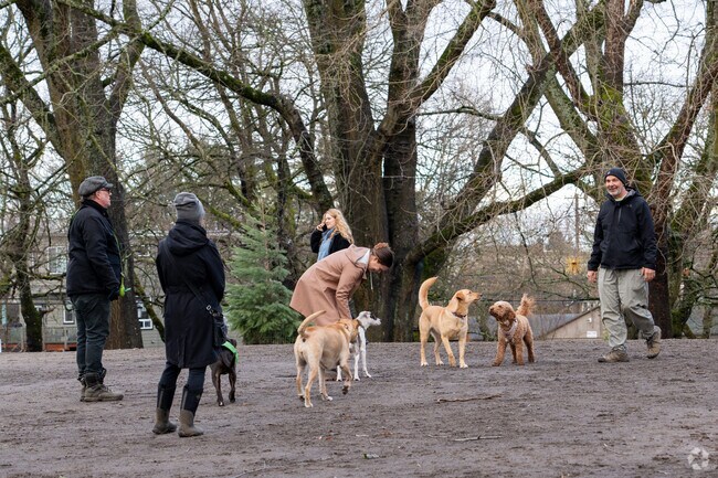 Let your pups roam free at Irvington Park’s off-leash area.