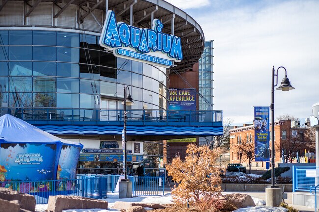 The Downtown Aquarium also includes a restaurant and lounge for all to enjoy.