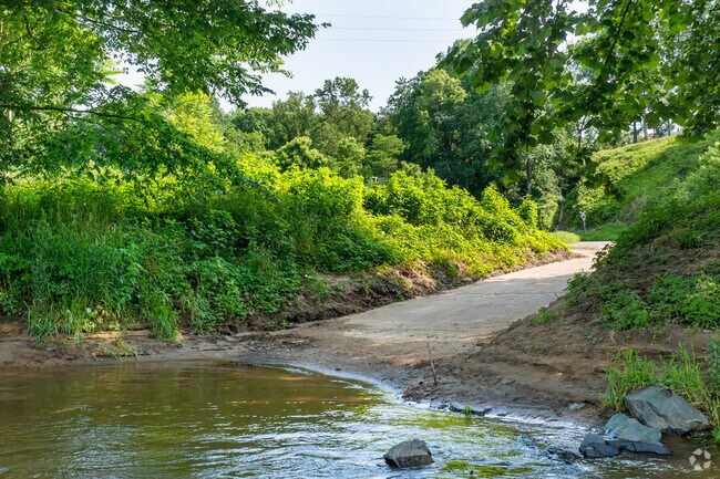 Take in scenic James River views at Bremo Bluff Boat Launch near Columbia, VA.