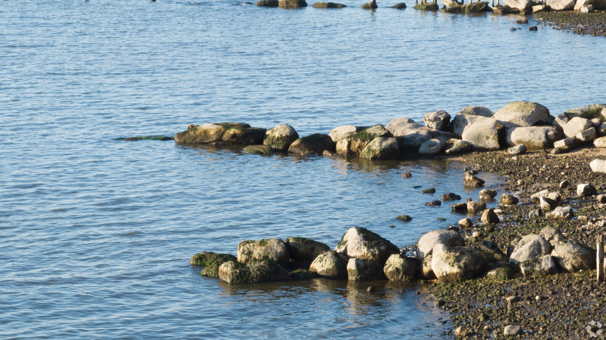 About Glenwood Landing Schools, Demographics, Things to Do