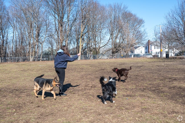 North Quincy residents trust Mutts & Struts to bring their pups to play at the park.