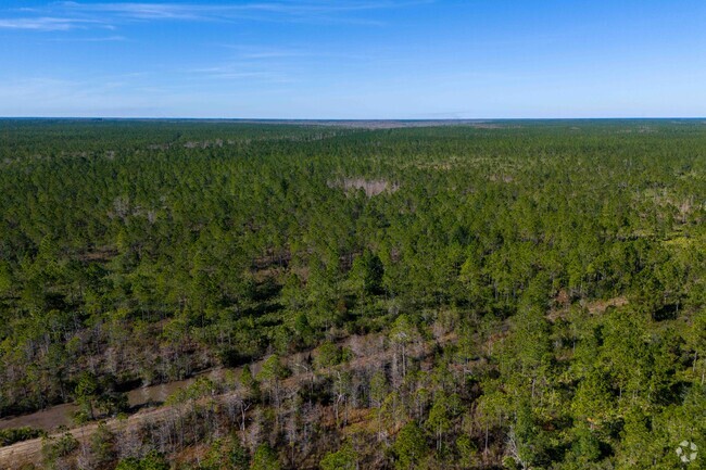 Hunters Ridge is surrounded by many forests were residents can relax with their families.
