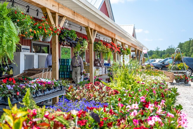 Spring Hollow Farm Market is an Amish run grocery and general store with a great selection of plants.