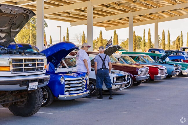 Vintage cars on display at the Newman Pumpkin Patch and Car Show in Newman, California.