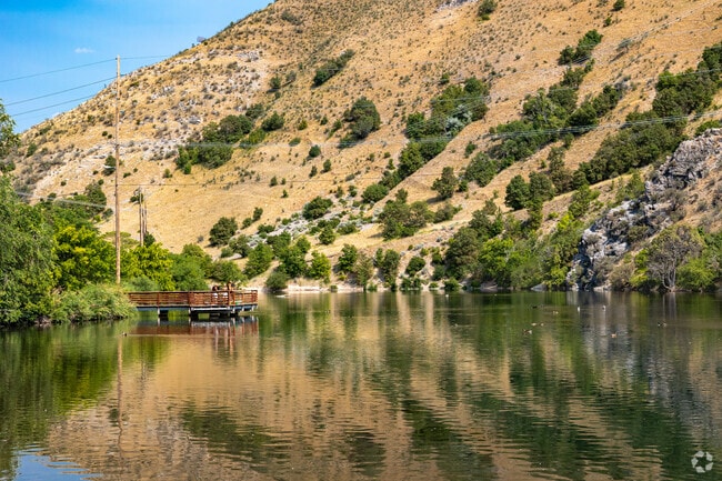 People enjoy watching ducks in the Logan River near Adams.