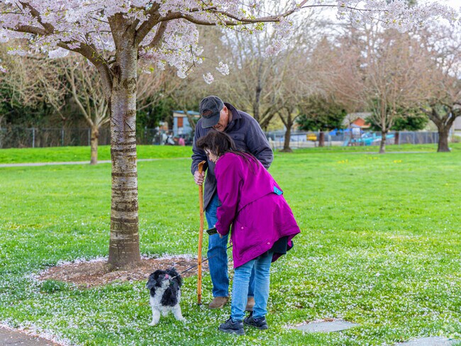 Les Grove Park has a 0.6 mile trail perfect for walking your dog.