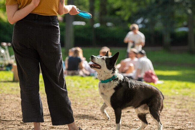 Laurelhurst Park has an off-leash area for dogs.
