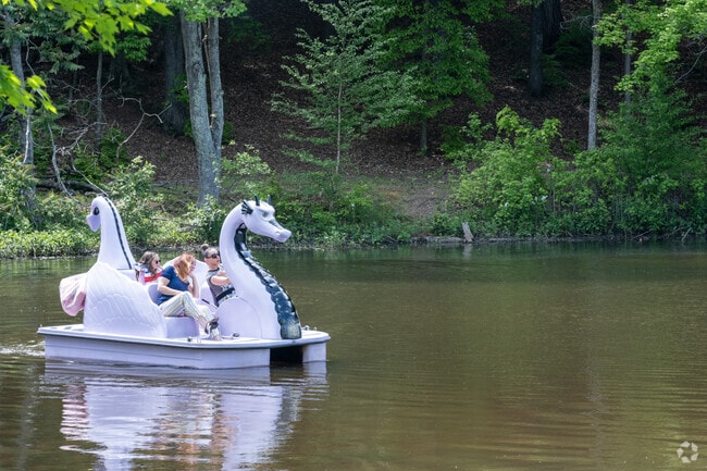 You can take the family on a paddle boat ride at Country Park near Three Meadows.