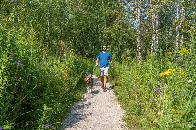 Quarry Park in Cody is a great place to walk your dog.
