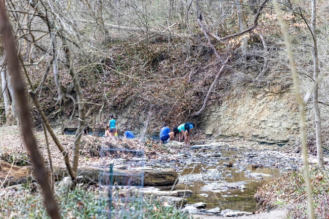 French Park is great for letting the kids play along the nature path in Amberley.