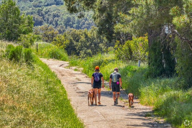 Anaheim Hills Trail is a popular trail for residents to admire the surrounding beauty.