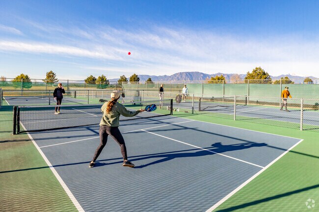 Play Pickleball with your friends at Windmill Mesa Park.