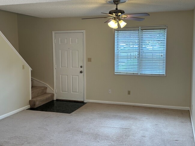 Living room (Big storage closet undr stairs)