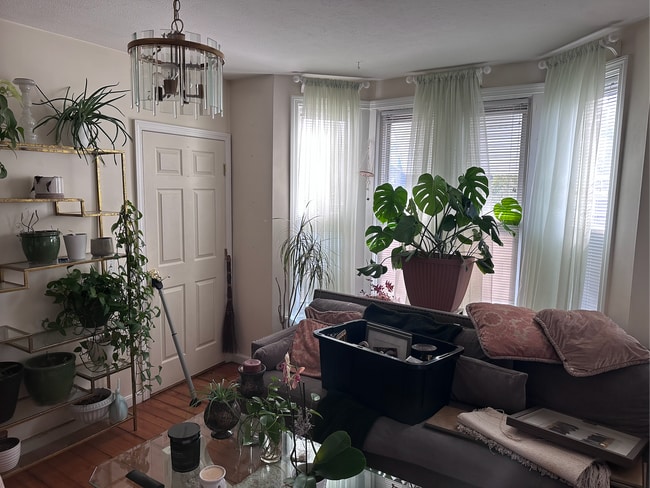 1023 Branch Ave unit 1, Providence, RI 02904 - photo 4