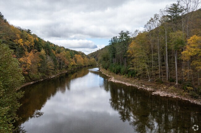 Loyalsock Creek is a favorite for fishing and summer swims.