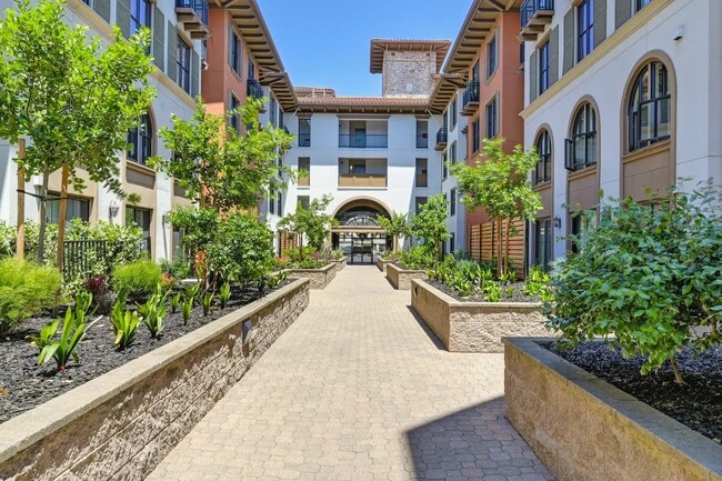 Renaissance Square, Concord, CA 94520 - photo 4