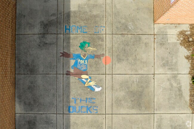 School mascot painting at Mallard Creek Elementary School.
