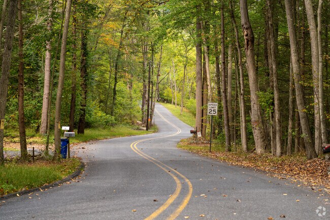 Quiet, winding roads weave through South Manheim’s forested neighborhoods, offering a calm rural escape.