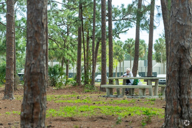 Relax and unwind amidst the natural beauty and serenity of Caloosa Park.