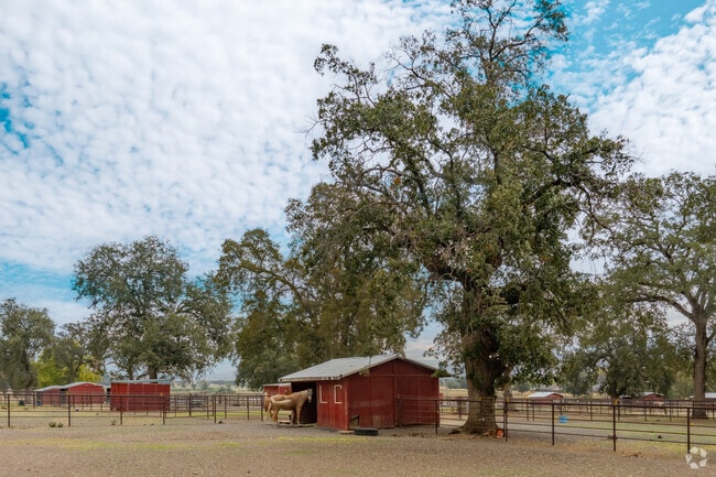 Lake California’s on‑site equestrian center offers paddocks for rent.