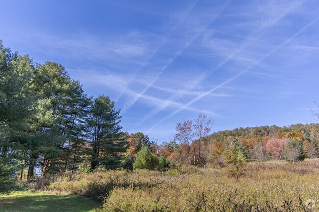 Rider Park is one of the largest state parks near Mill Creek.