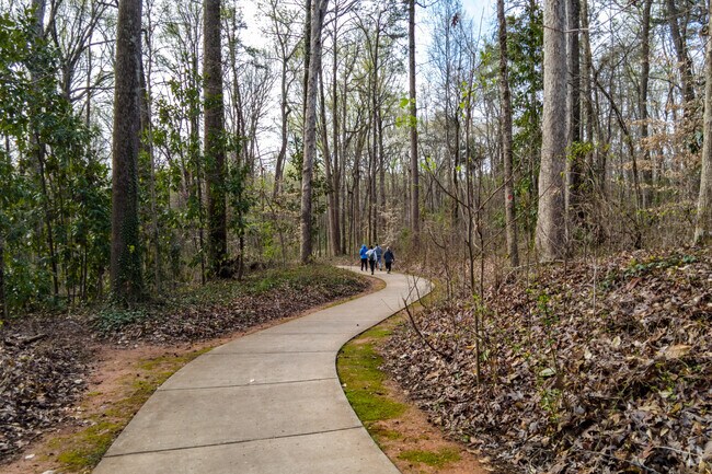 Walk along this pathway at the Evergreen Nature Preserve.