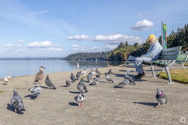 Local feeds the birds at Dash Point State Park, minutes from Twin Lakes WA.