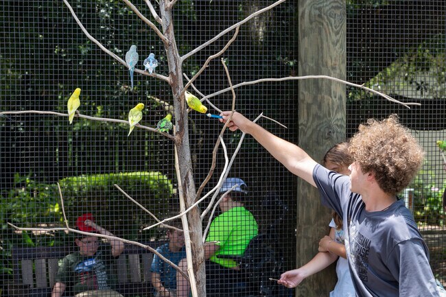 You and your family can feed the birds and learn about them at the Luisiana Zoo in Southside.