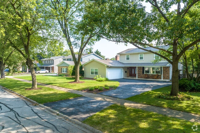 A beautiful row of homes displaying a variety of home styles in the Maple Brook neighborhood.