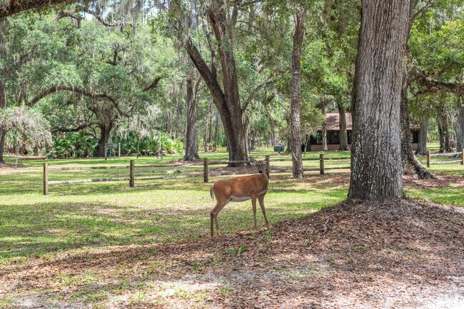 Meridan Parks wildlife enthusiasts take in the vast array of animals that call Moss Park home.