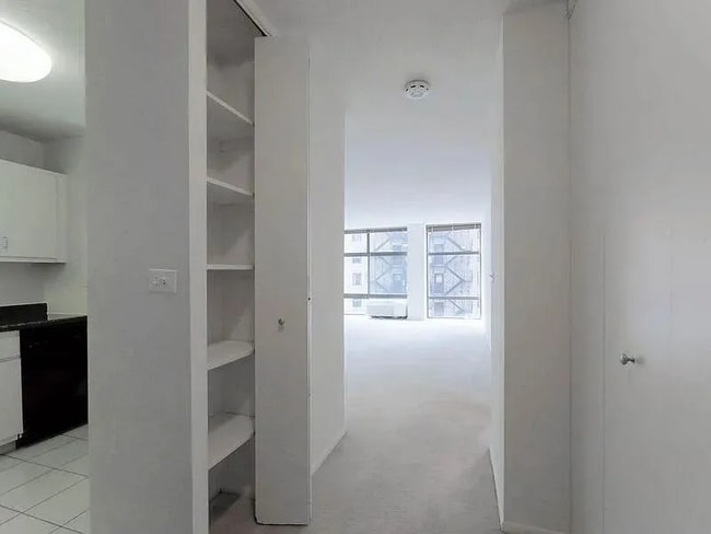 1200 N Stone St, Chicago, IL 60610 - photo 4