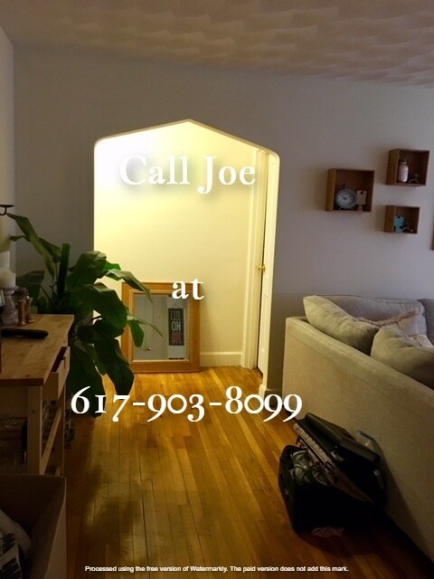 38 Harvard Ave unit 2, Brookline, MA 02446 - photo 3