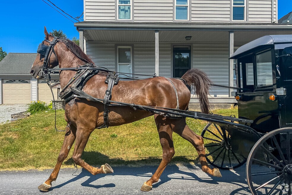 Witmer_527626_3-13-24_JSv3