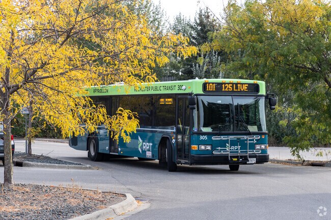 Glendale is served by Rochester Public Transit and offers routes to and from downtown.
