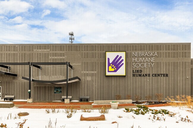 Located near Maple Village the Nebraska Humane Society is a great place to find your next puppy.