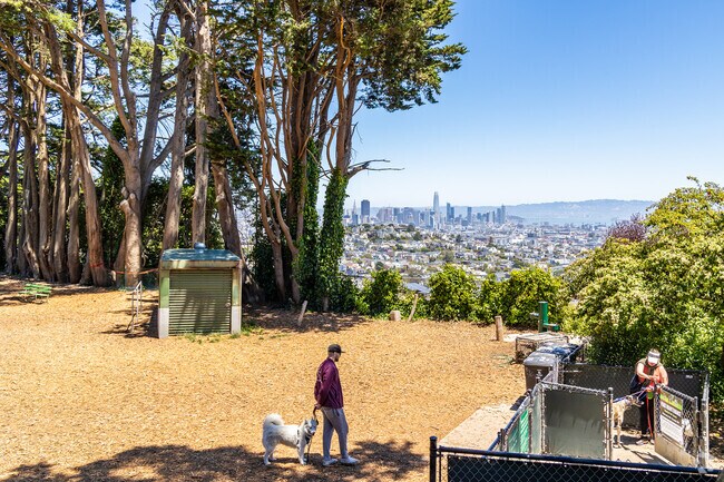 Douglass Park in Noe Valley has a dog play area with a view of the downtown skyline.