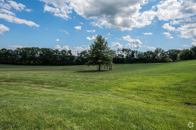 Blue Ridge Mennonite School