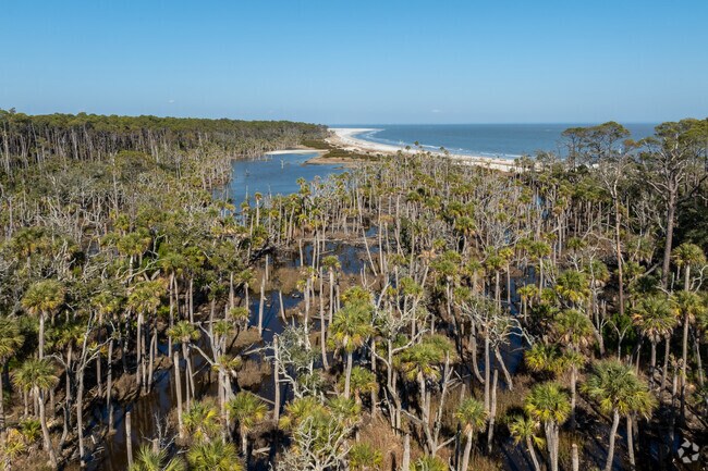 Fripp Island is home to all kinds of wildlife.