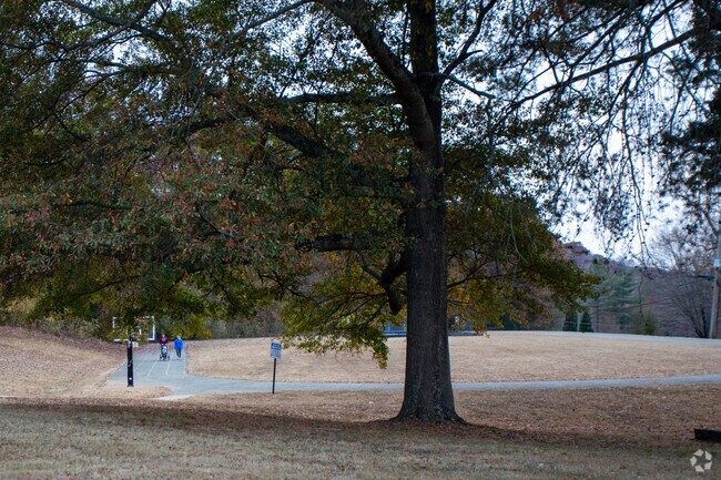 Big Ridge elementary has a small walking track used by students and the local community.