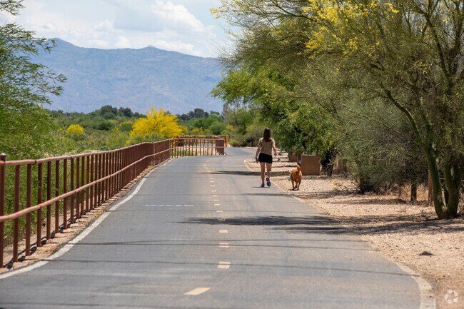 A woman walks her dog on The Loop in Rillito.